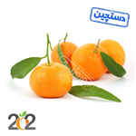 نارنگی پاکستانی دستچین برند 202