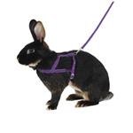 قلاده کتفی خرگوش همراه با لید Kerbl Shoulder Harness Agility with Leash 