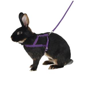 قلاده کتفی خرگوش همراه با لید Kerbl Shoulder Harness Agility with Leash 