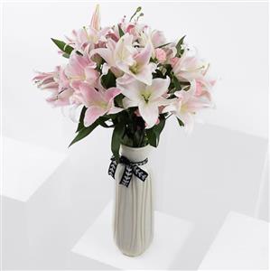 لیلی و میخک (قطر) کد 70/2