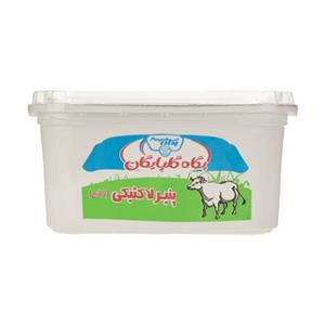 پنیر لاکتیکی پگاه – 300 گرم