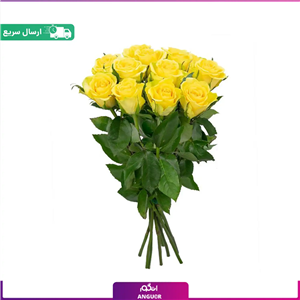 دسته گل رز 10شاخه گل روبانی گل ربانی
