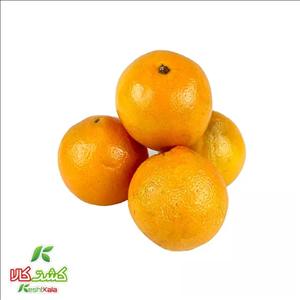 پرتقال کشت کالا کیسه ای 1 کیلوگرمی