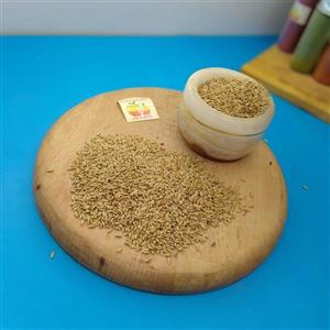 تخم کتان سفید قناری 1000 گرمی