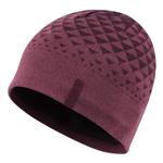 کلاه کوهنوردی Montane Outflow Beanie