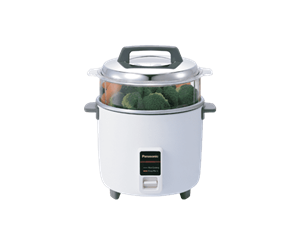 پلوپز SR-W22GS پاناسونیک