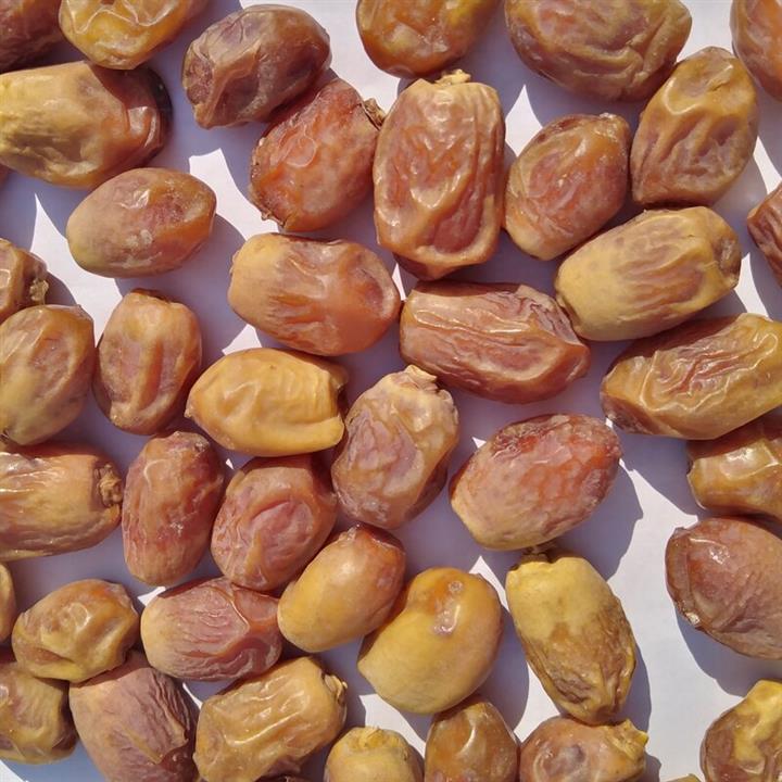 خرما زاهدی فله