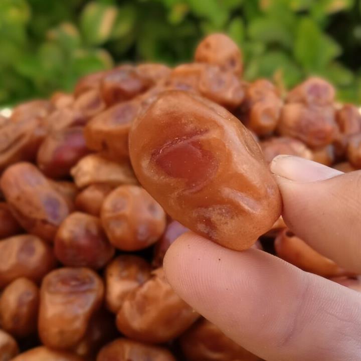 خرما زاهدی فله