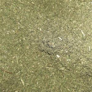 شوید خشک - 500 گرم