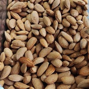 بادام درختی تازه