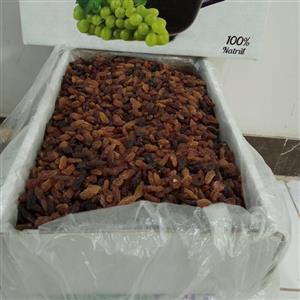 کشمش آفتابی ارگانیک