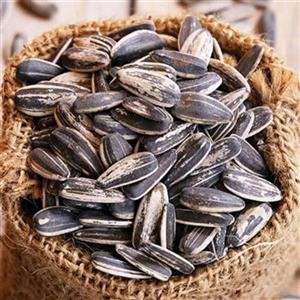 تخمه دور سفیدگلپری (1 کیلویی)