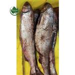 ماهی سفید شور اشپل دار تازه یک کیلویی ( 1000 گرم )