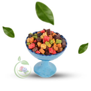 مخلوط میوه خشک  ترش 600 گرمی