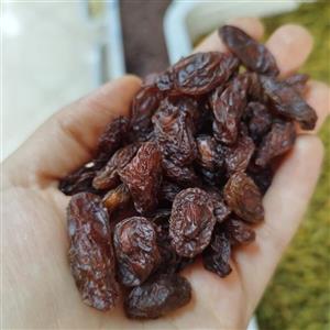مویز فخری رطبی قرمز گوشتی شیرازی اعلا (نیم کیلو) آفتابی رطبی دیم