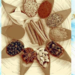 گلیم ماشینی طرح ادویه جات