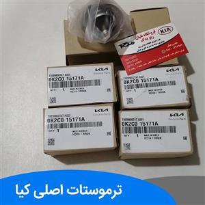 ترموستات ریو اصلی کیا 