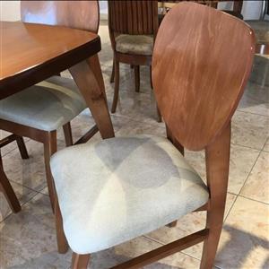 صندلی گوش فیلی