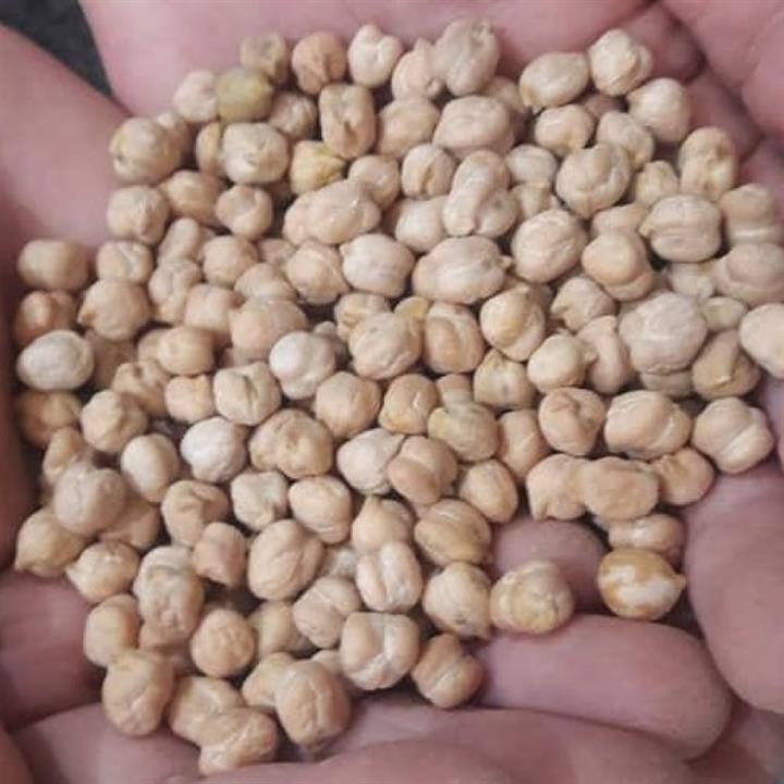 نخود فله ای