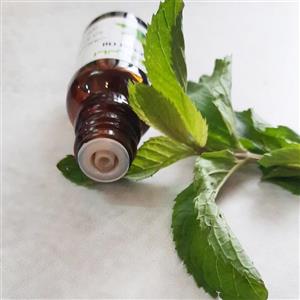 اسانس گیاهی نعناع 5میلی لیتر (اسنشیال اویل نعنا)