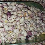 لوبیا چیتی محلی  کوهی منطقه هزارجریب استان گلستان کاملا ارگانیک و خوش پخت
