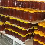 عسل طبیعی عمده  20  عدد 1 کیلویی بدون برچسب ( از زنبوردار نمونه و )