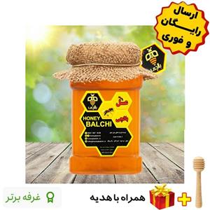 عسل طبیعی گون بالچی (2 کیلوگرم) ( از زنبوردار نمونه و )
