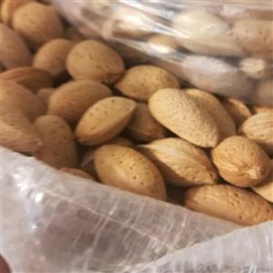 بادام تلخ یک کیلو 