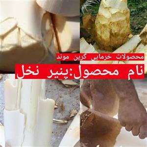 پنیر نخل کیلویی 270 ت 3 کیلو  مستقیم از تامین کننده