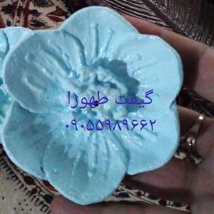 جاعودی گل شقایق