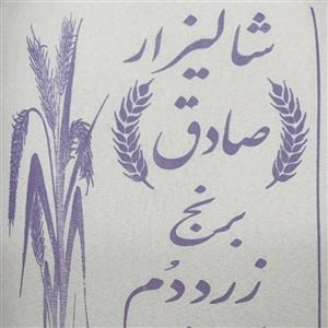 برنج زردم فوق اعلا آستانه اشرفیه 10 کیلویی