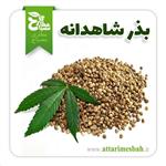 بذر شاهدانه 100 گرمی