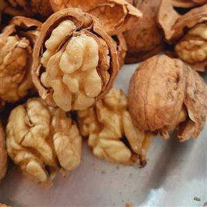 مغز گردو تازه اشکور 1 کیلویی محصول امسال