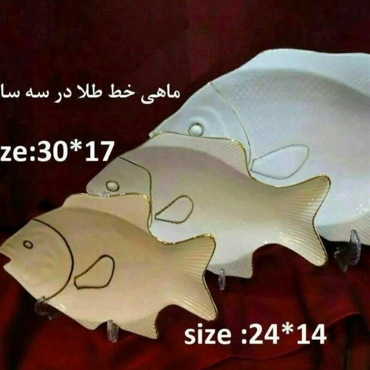 ماهی لب طلا متوسط