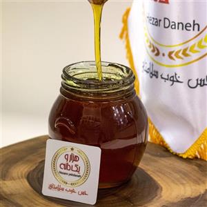 عسل درمانی (500گرمی)