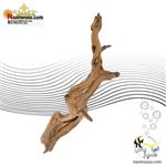 چوب تزئینی آکواریوم مدل مجیک وود ای دی ای ADA