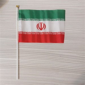 پرچم دستی ایران سایز 20 * 30  پارچه ای