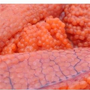 خاویار اشپل(خاویار) ماهی سفید سایز بزرگ،300 گرمی 