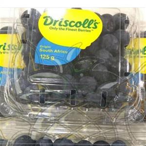 بلوبری تازه 125 گرمی