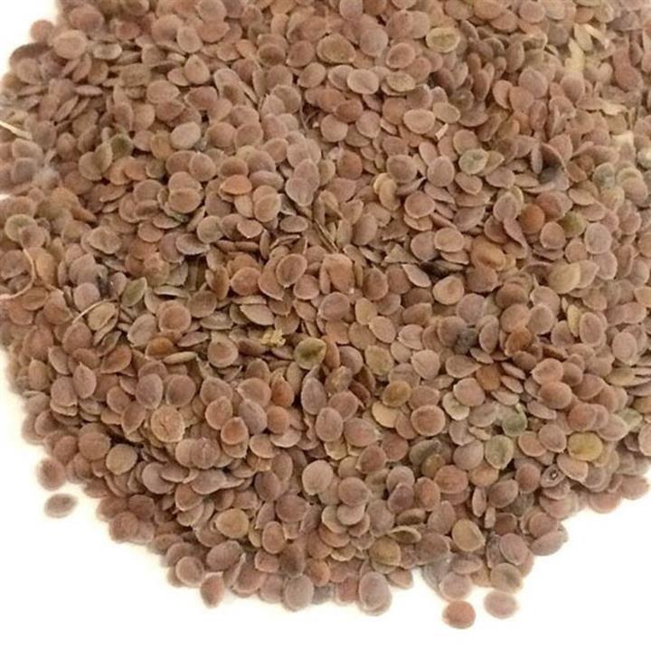 قدومه شیرازی فله ای