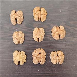 مغز گردو ایرانی مرغوب (مرند) مخصوص صادرات (نیم کیلو)