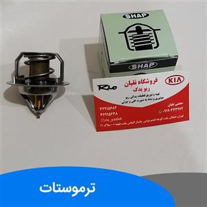 ترموستات ریو شاپ کره ای