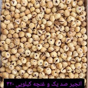 انجیر  غنچه تازه 