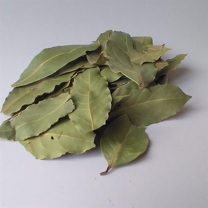 برگ بو فله ای