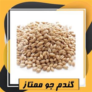جو ممتاز (800 گرم) طبعی نو