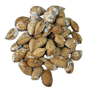 بادام درختی شور  منقا