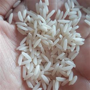 برنج طارم  دم سیاه اعلا  تضمینی به شرط پخت