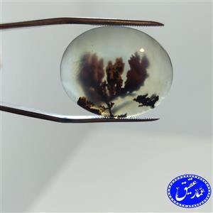 نگین عقیق شجر  تک درخت
