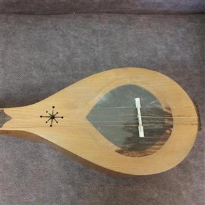 سه تار پوستی با الگویی خاص