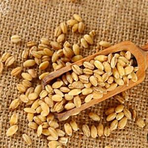 جو پوست کنده یک کیلوگرمی